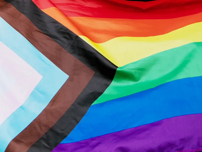 Progress Pride flag chevron of white, pink, blue, brown and black