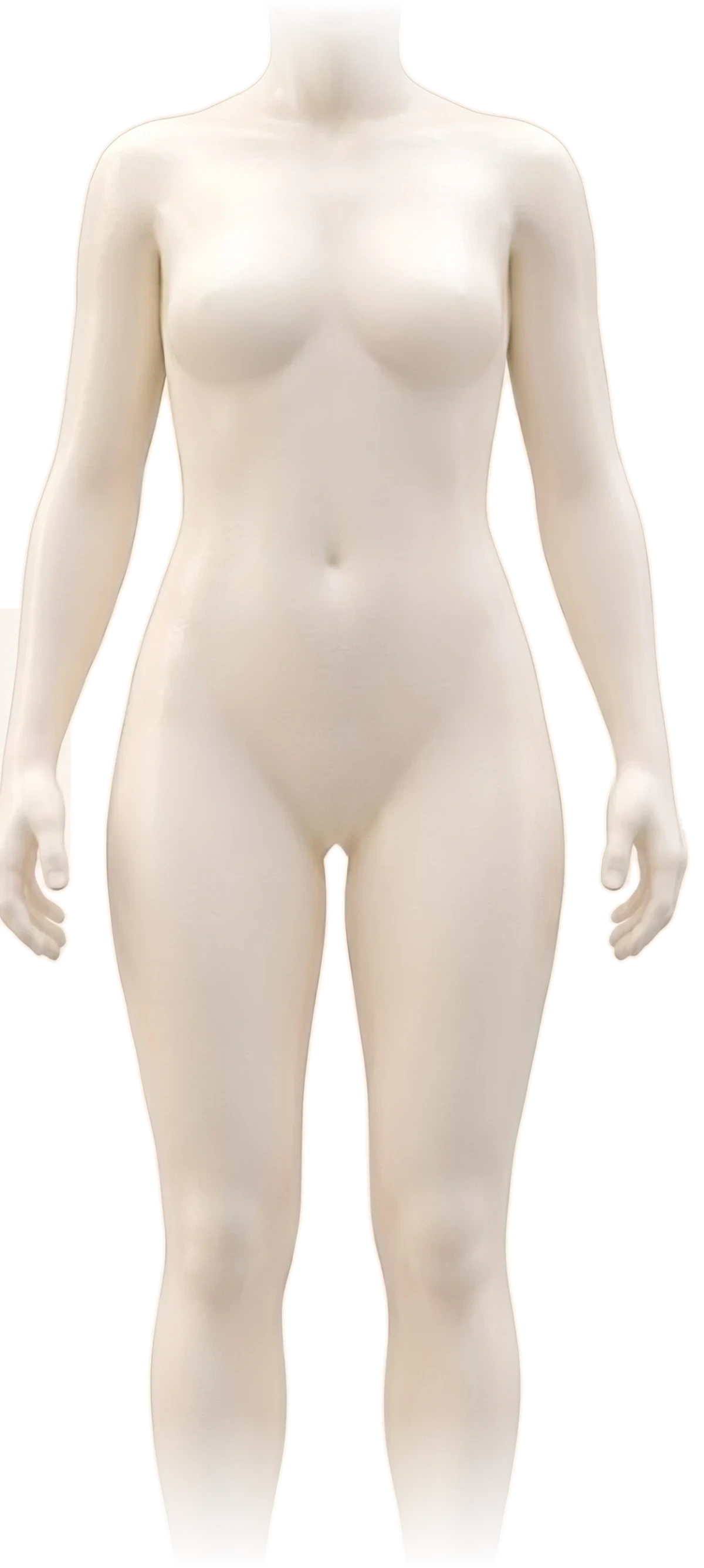 Anatomical model facing forward showing the areas we treat